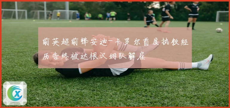 前英超前锋安迪-卡罗尔首度执教经历告终被达根汉姆队解雇