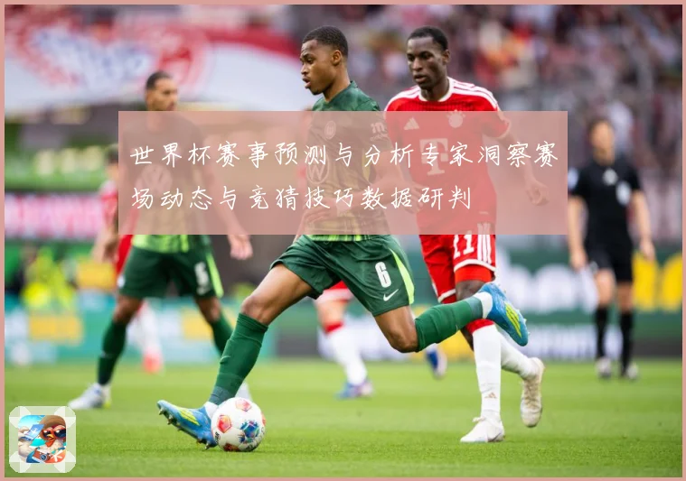 世界杯赛事预测与分析专家洞察赛场动态与竞猜技巧数据研判